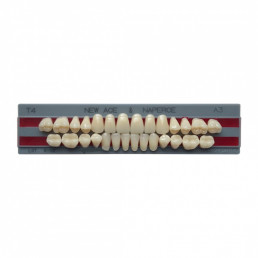 Глория  (B1-T3-М32) (28шт) -двухслойные акриловые зубы. Yamahachi (GLORIA NEW ACE)