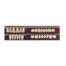 Спофадент Плюс (A3) 1/27-0/11-1/62 (28шт) - Трехслойные акриловые зубы SPOFA