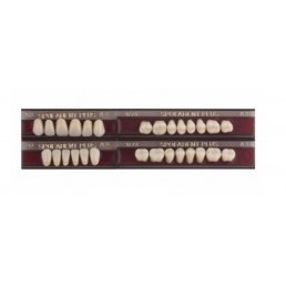 Спофадент Плюс (A3) 53-53-1/74 (28шт) - Трехслойные акриловые зубы SPOFA