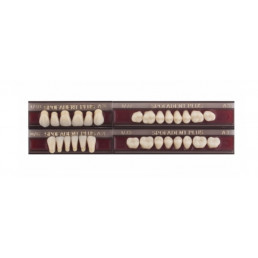 Спофадент Плюс (A3) 1/48-0/6-1/72 (28шт) - Трехслойные акриловые зубы SPOFA