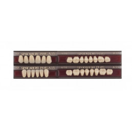 Спофадент Плюс (A3,5) 53-53-1/74 (28шт) - Трехслойные акриловые зубы SPOFA