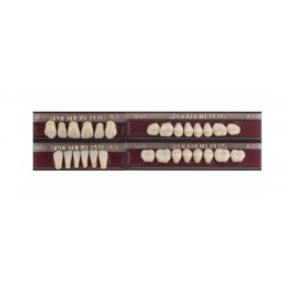 Спофадент Плюс (A3) 1/47-0/6-1/72 (28шт) - Трехслойные акриловые зубы SPOFA