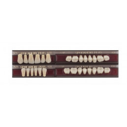 Спофадент Плюс (C3) 1/17-0/6-77N (28шт) - Трехслойные акриловые зубы SPOFA