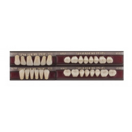 Спофадент Плюс (C3) 1/27-0/11-1/62 (28шт) - Трехслойные акриловые зубы SPOFA