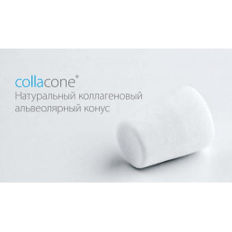 Collacone (12шт) 511112 Натуральный коллагеновый альвеолярный конус 16х11х7мм Botiss Biomaterials