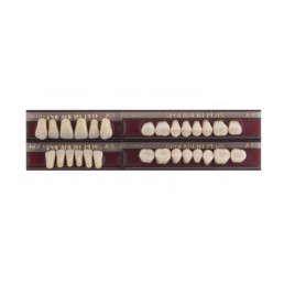 Спофадент Плюс (A3) 1/40-0/7-1/62 (28шт) - Трехслойные акриловые зубы SPOFA