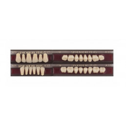 Спофадент Плюс (A3,5) 1/17-0/6-77N (28шт) - Трехслойные акриловые зубы SPOFA