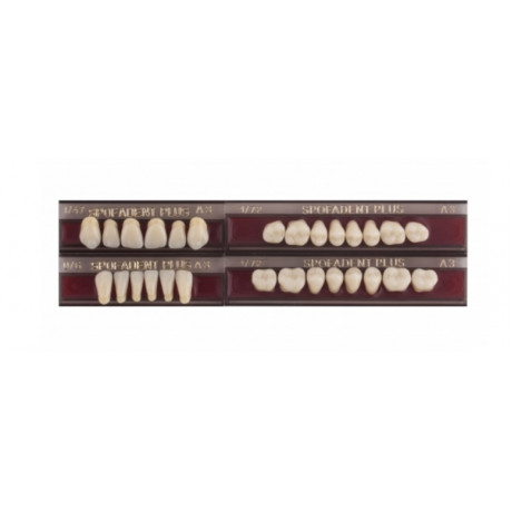 Спофадент Плюс (A3) 1/47-0/6-1/72 (28шт) - Трехслойные акриловые зубы SPOFA